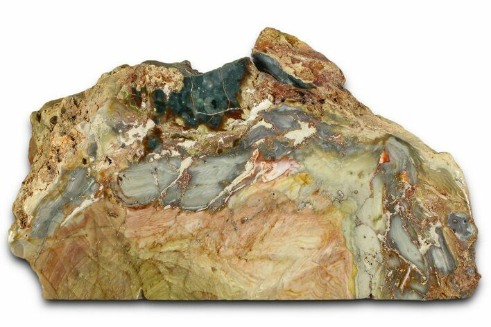 Free-Standing, Gary Green Jasper (Larsonite) Bog Wood - Oregon #370997